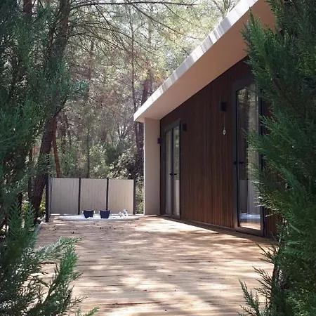 Kayakoey Luxury Tiny Forest ホテル *