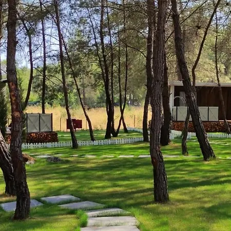 Kayakoey Luxury Tiny Forest *