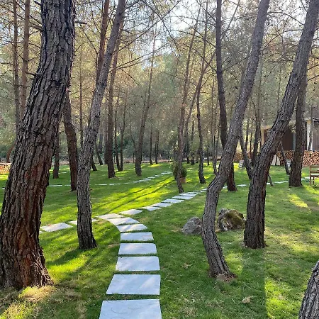 Kayakoey Luxury Tiny Forest Hotel Kayakoy